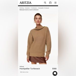 Aritzia Knit Turtleneck Sweater